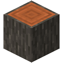 Akazie Stamm / Acacia Log