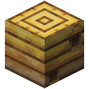 Bee Nest / Bee Nest