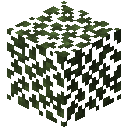 Birke Laub / Birch Leaves