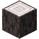 Blasseiche Stamm / Pale Oak Log