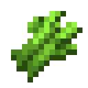 Sugar Cane / Sugar Cane